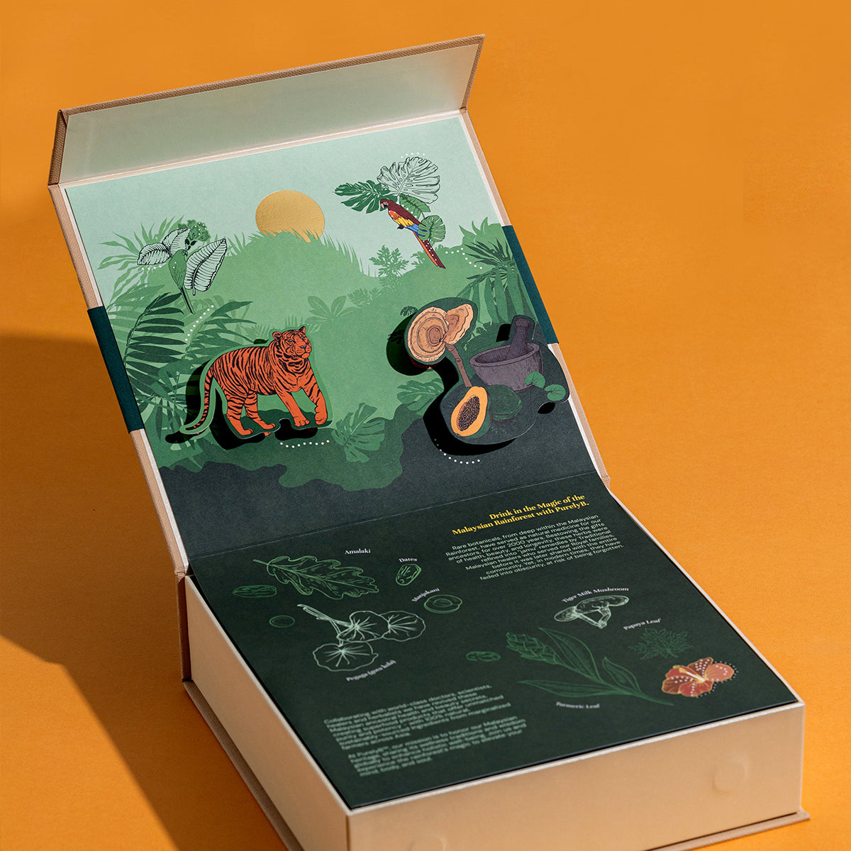 Malaysian Rainforest Wellness Treasure Box (Limited Edition)