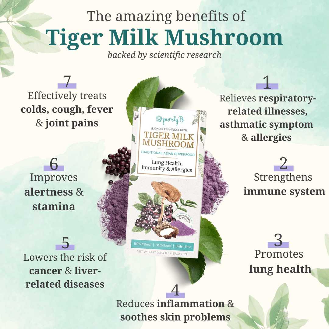 Tiger Milk Mushroom 30 Sachet Box